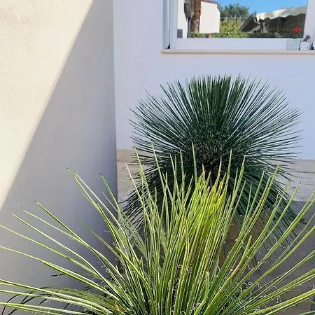 Hiero House Lascari